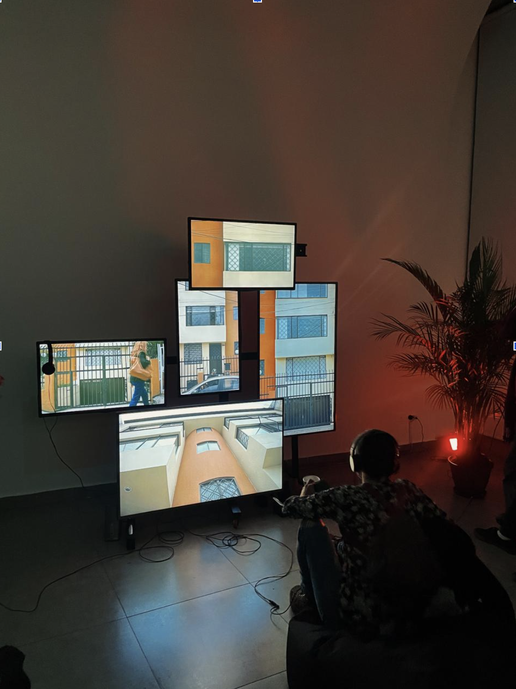 Casa vecina, vista de la instalación 2